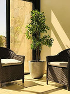 Kante Large 18" Round Concrete Planter, Modern Bowl Plant Pot for Home - Image 4