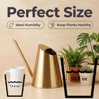 50.8 oz Watering Can Indoor Plants Stainless Steel Plant Waterer Watering Pot Sprinkle Pot Garden Flowers Plants Flower Tool Gold Watering Can with Long Spout (1500ml) - Image 4