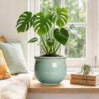 Ceramic Self Watering Planter, 8 Inch African Violet Pots, Green - Image 4