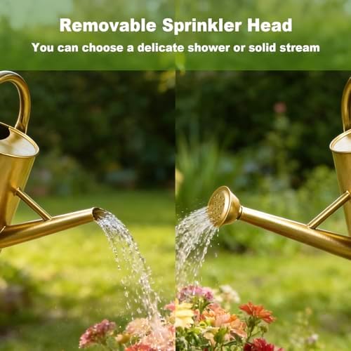 Gold Watering Can for Outdoor&Indoor Plants，1.5 Gallon - Image 4