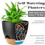 Indoor Pots For Plant Self Watering Plant Pots For Lazy People, 8/7.5/7/6.5/6/5.5/5 Inch,Black Plastic Self Watering Planter For All Houseplants,Succulent, African violets, Flowers And Cactus - Image 2