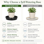 Self Watering Plant Saucers 4 Pack, 13.6 Inch Plastic Plant Saucers with Raised Grid Platforms and 8 Wicking Ropes, for Plant Pots, Fabric Grow Bags, Indoor and Patio Planters, Black - Image 5