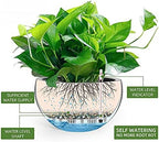 Dexceder 9 Inch Self Watering Hanging Planter (Brown) - Image 2