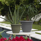 Bloem Ariana 8" Plastic Self-Watering Planter, Charcoal, 4-Pack - Image 2