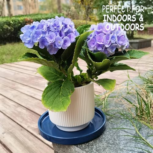 Ceramic Plant Saucer 7 Inch, 2 Pack Round Plant Trays for Indoors/Outdoors, Flower Pot Saucers for Holding Water Drips and Soil, Ceramic Drainage Tray for Plant Pot (Blue) - Image 2