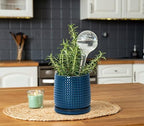 D'vine Dev Beaded Ceramic Pot with Saucer, 6 in, Midnight Blue, 27-C-X-3 - Image 6