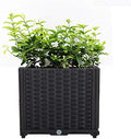 Hershii Square Deepened Garden Raised Bed Kits Plastic Plant Containers Indoor Outdoor Vegetables Herbs Flowers Growing Planter Box - Black - 15.35 X 15.35 X 14.96 Inches by FineLivingStartingwithaHome