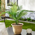 The HC Companies Sierra Round Self-Watering Pot - Lightweight Plastic Planter for Herbs & More - Durable Plant Pots for Indoor Plants & Outdoor Plants (10” Arizona Sand, Pack of 1) - Image 2