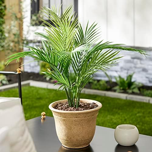 The HC Companies Sierra Round Self-Watering Pot - Lightweight Plastic Planter for Herbs & More - Durable Plant Pots for Indoor Plants & Outdoor Plants (10” Arizona Sand, Pack of 1) - Image 2