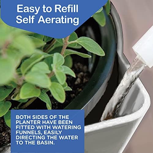 King's Gardening Clever Pot - Self Watering Pot for Indoor Outdoor Use, Animated Cloud Water Level Indicator, UV Resistant Planter, Ideal for Flowers, African Violets, and More 8" (Pearl Cloud) - Image 5