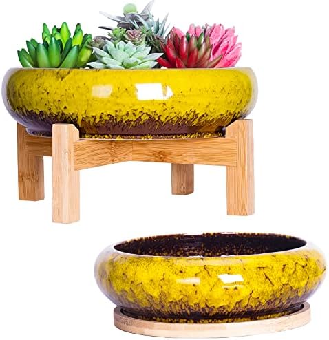 Succulent Pots, 7.3/10 Inch Bonsai Pots with Trays, Large Succulent Planter by ARTKETTY