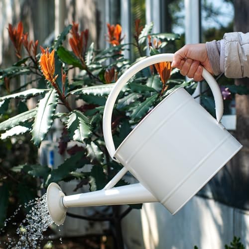 1.3 Gallon Matte Cream Metal Watering Can, Removable Spout - Image 5