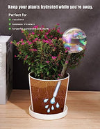 Tomorotec Glass Plant Watering Globes, Self Watering Spikes 3 Large+3 Small - Image 5