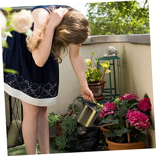 LIOOBO Stainless Steel Long Spout Watering Can Durable Practical Kettle for Indoor and Outdoor Plants for Gardening Enthusiasts Easy to Use and Reusable - Image 7
