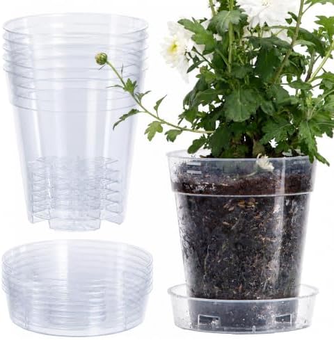 1 Gallon 6 Inch Clear Plastic Plant Pot with Drainage Holes, Interlocking & Detachable Tray - Deep Saucer - Durable BPA-Free Plastic, Transparent Design, Raised Base for Airflow, Set of 6, 92-X-A-6 by Phoenix+Vine