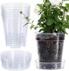 1 Gallon 6 Inch Clear Plastic Plant Pot with Drainage Holes, Interlocking & Detachable Tray - Deep Saucer - Durable BPA-Free Plastic, Transparent Design, Raised Base for Airflow, Set of 6, 92-X-A-6 by Phoenix+Vine