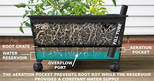 Emsco Group City Picker Raised Bed Grow Box – Self Watering and Improved Aeration – Mobile Unit with Casters - Image 5