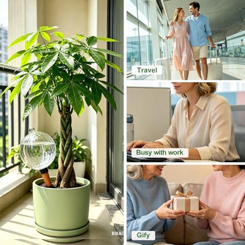 26oz Extra Large Plant Watering Globes, Self Watering Bulbs and Water Globes for Indoor Outdoor Potted Plants, Vacation Watering While Away 4-Pack - Image 6
