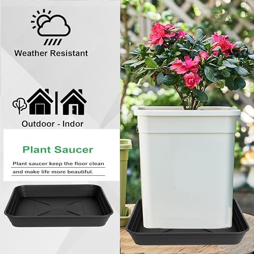 4 Pack Square Plant Saucer Tray 18 inch, Heavy Duty Plastic Plant Saucers for Indoors Outdoor, Flower Plant Drip Trays for Pots, Square Seed Starting Tray, Seedling Growing Trays - Image 7