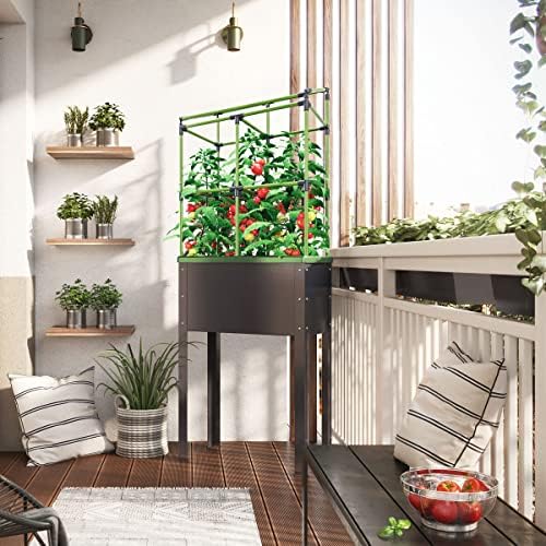BioGreen Raised Garden Bed with Trellis Heidelberg | 11 gal | 1“L x 2.3“W x 7.6“H | Self-Watering Metal Planter Box | Ideal Growth for Climbing Plants - Image 2