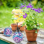 Plant Self Watering Worry-Free Set - Image 7