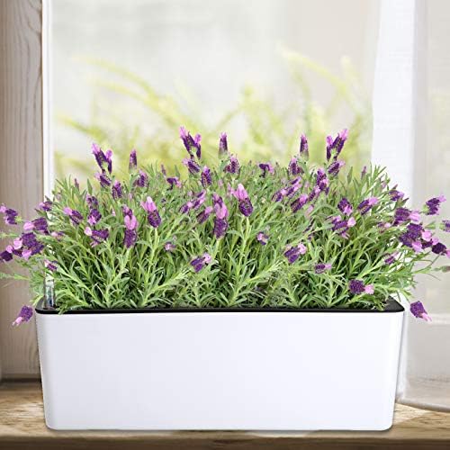 Fasmov 2 Pack Rectangle Self Watering Planter with Water Level Indicator, 16x 5.5 Inch Window Gardening Box, Decorative Planter Pot for All House Plants Flowers Herbs, Decorative Planter Pot - Image 5