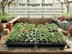 Gardzen 10 Pack 72 Cell Seed Starter Trays - Image 3