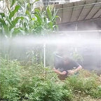 Garden Hose Sprinkler 2/3/4 Arm Automatic Rotary Sprayer 360 Degree Rotation Brass Lawn Irrigation Sprinkler Heads Garden Accessories Watering Nozzle (Color : C) - Image 5