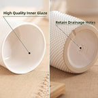 5.8 Inch Ceramic Plant Pot with Drainage Hole & Separate Saucer - Image 6