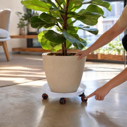 Plant Saucer, Plant Pot Moving Tray, 40.5cm Clear Plant Pot Base - Image 4