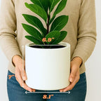 Fox & Fern Large Planter for Indoor or Outdoor, White Matte, 8 Inch - Image 6