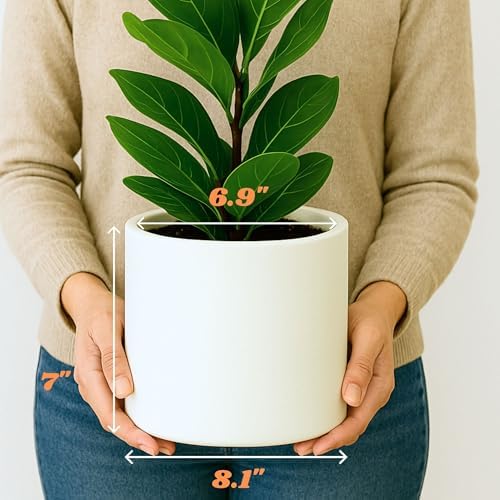 Fox & Fern Large Planter for Indoor or Outdoor, White Matte, 8 Inch - Image 6