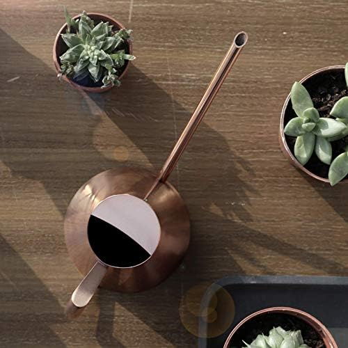 HERCHR Stainless Steel Watering Can, Indoor Watering Can Metal Watering Can for Outdoor and Indoor Plants(900ml) - Image 5