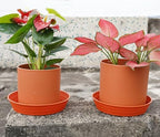 LWALRS Plant Saucer 14 Inch 4 Pack 6 8 10 12 14 16 18 20 25, Plastic Plant Trays for Pots，Extra-Deep Plant Water Dray Tray, Bird Bath Bowl, Heavy Flower Plant Saucers Indoors and Outdoor No Holes - Image 3