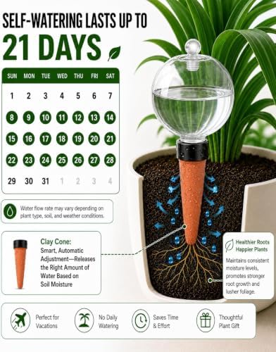 2 Pack 26 oz Extra Large Plant Self Watering Globes with Caps - Image 3