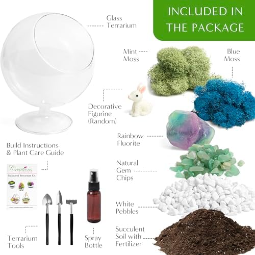Creations by Nathalie DIY 6" Chalice Terrarium Kit Build Your Own Glass Terrarium for Adults & Teens, DIY Terrarium Kit with Live Moss, Crystals, Soil (Plant Not Included) - Image 2