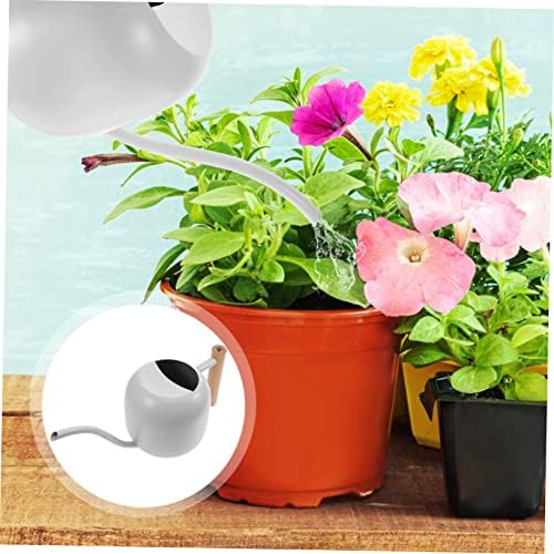 Stainless Steel Watering Can with Handle Vintage Design for Indoor and Outdoor Use Capacity and Comfortable for Plants and Gardens - Image 4