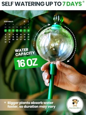 3pc 16 Oz Plant Watering Globes Large Self Watering Globes For Indoor Plant - Image 2