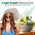 Plant Watering Globes Set of 6, Large - Glass Self Watering Globes - Image 5