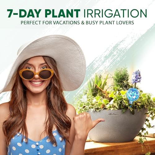 Plant Watering Globes Set of 8, Large - Glass Self Watering Globes - Image 5