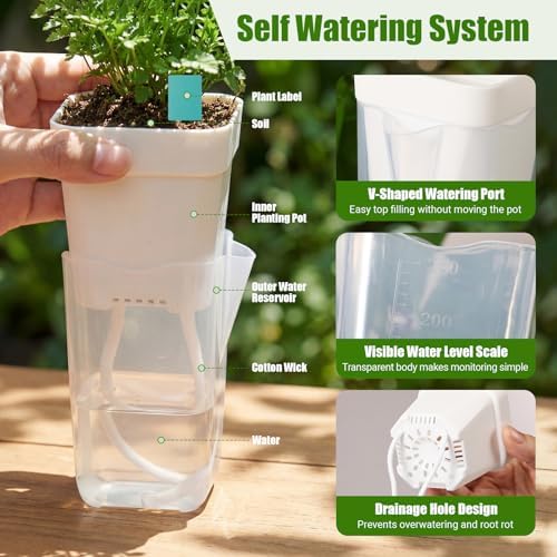 30 Pack 2" 2.5" Small Self Watering Pots for Indoor Plants Clear Mini Self Watering Plant Pot with Water Level Drainage Holes 30 Plastic Label 3 Planting Tools Rope for Propagation Succulent - Image 3