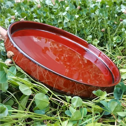 Ceramic Plant Saucer 12 Inch, Round Plant Trays for Indoors/Outdoors, Flower Pot Saucers for Holding Water Drips and Soil, Ceramic Drainage Tray for Plant Pot (Reactive Glaze Brown) - Image 5
