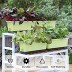 Window Box Planter 4 Packs, 17 Inches Rectangle Flower Pots with Drainage Holes & Trays, Pots for Vegetables, Herbs, Flowers, Garden Windowsill Balcony (Light Green, 17 * 5.1 * 6 inch) - Image 2