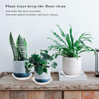 2 Pack of 19 inch Clear Plant Saucer, Large Plant Tray, Heavy Sturdy Plant Drainage Tray for Indoors, Bird Bath Bowls, Sturdy 18 inch Plastic Pot Tray for Planter - Image 3