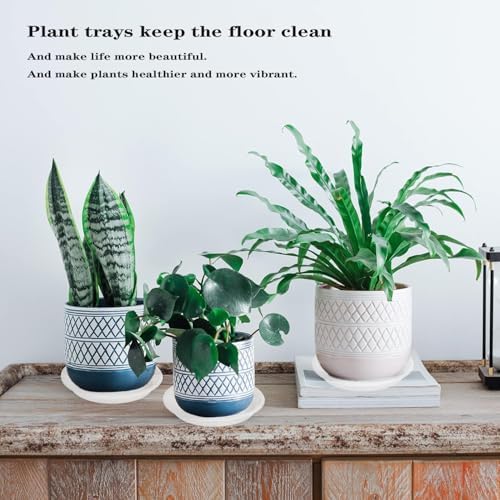 4 Pack of 16 inch Plant Saucer, Large Plant Tray, Heavy Sturdy Plant Drainage Tray for Indoors, Bird Bath Bowls, Sturdy Plastic Pot Tray for Planter (Clear) - Image 5