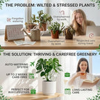 6 Pack 26 oz Extra Large Plant Self Watering Globes to 3 Weeks Watering - Image 5