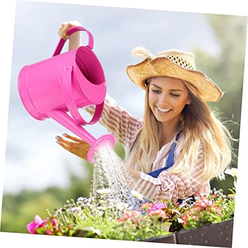 Multi-use Iron Art Watering Pot for Indoor Outdoor Plants Garden Sprayer for Succulents and Air Plants Red Spray Bottle Suitable for Household Gardening - Image 5