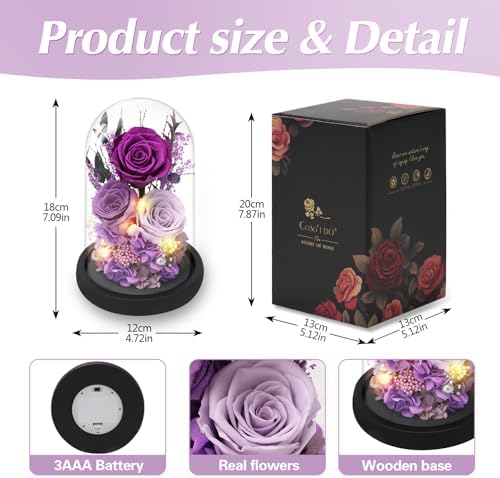 Casaido Preserved Roses Flowers for Delivery, Mothers Day Rose Gifts for Mom Her, Purple Forever Flores in Glass Dome for Wife Girlfriend Grandma, Anniversary Birthday Gift for Vanlentines Christmas - Image 6