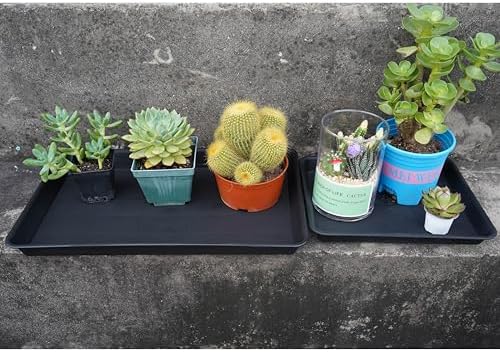 VUWEZ 4 Pack Plant Growing Nursery 1020 Trays, Plant Saucer Tray, Heavy Sturdy Seed Starting Trays, Plant Saucer for Indoors No Holes, Seed Starter Growing Tray (22"x11.2", Black) - Image 6