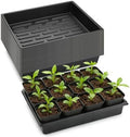 RooTrimmer 20 Pack Nursery Pots Trays (16.5"x13.2"x2.8"), Plastic Seed Starter Trays, Durable Carrying Seedling Starter Tray, Reusable Tray for Planting and Collecting Drainage Water (Black) by RooTrimmer